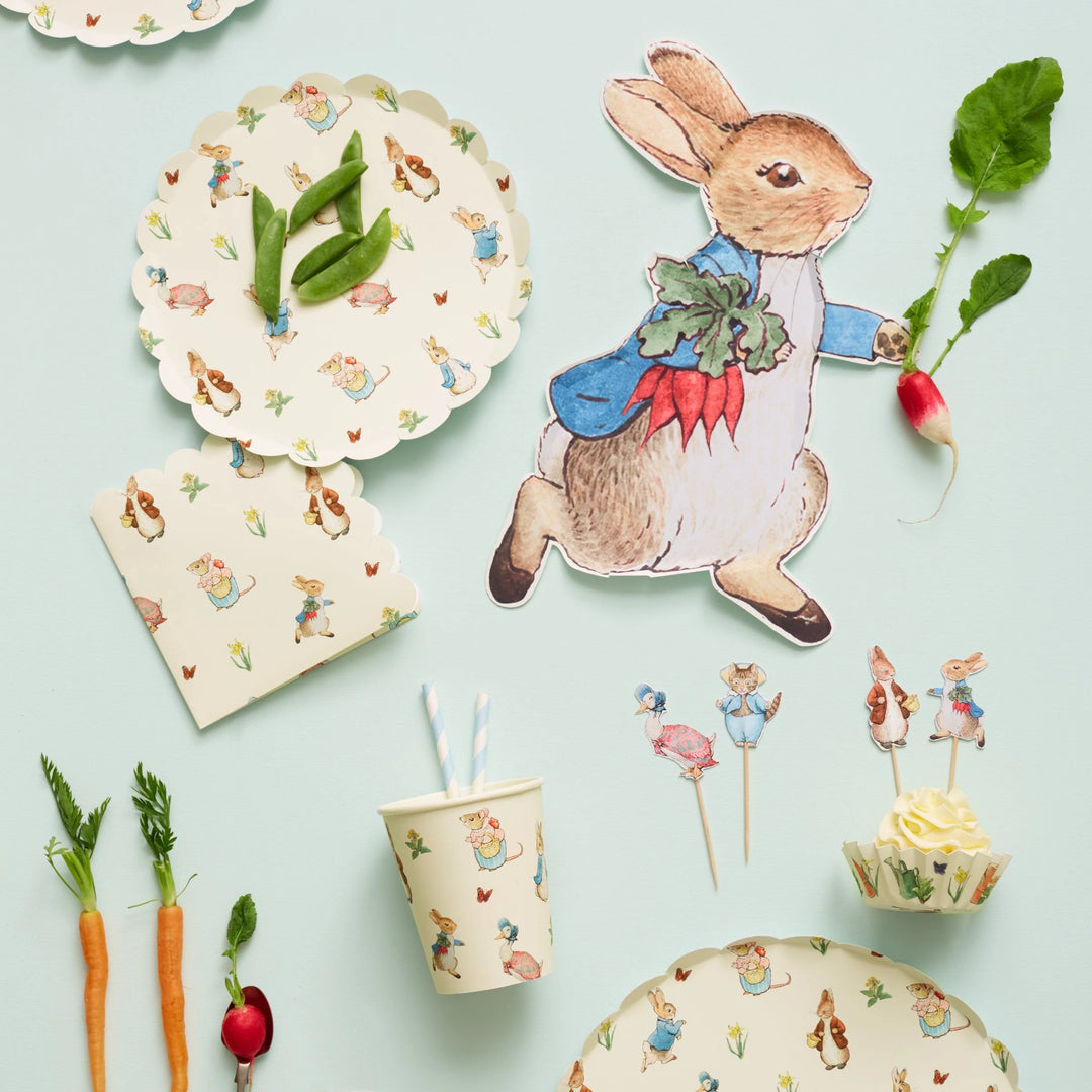 Peter rabbit tableware best sale