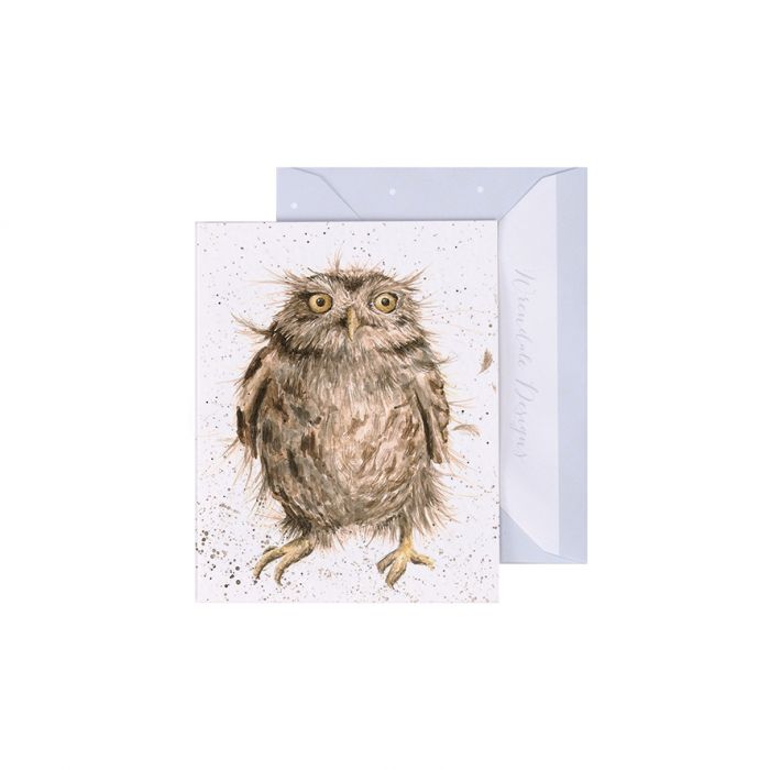 'What a Hoot' Owl Enclosure Card