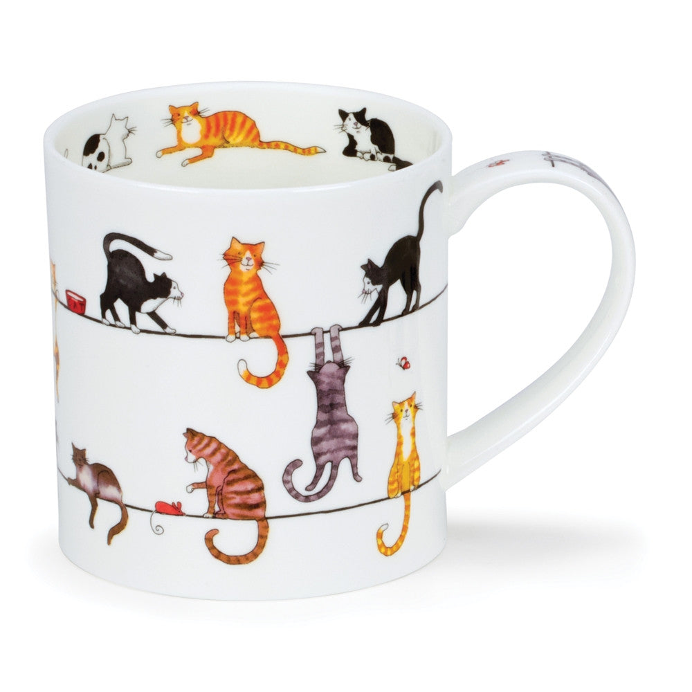 Fine bone china Dunoon Orkney Livewires Cat mug