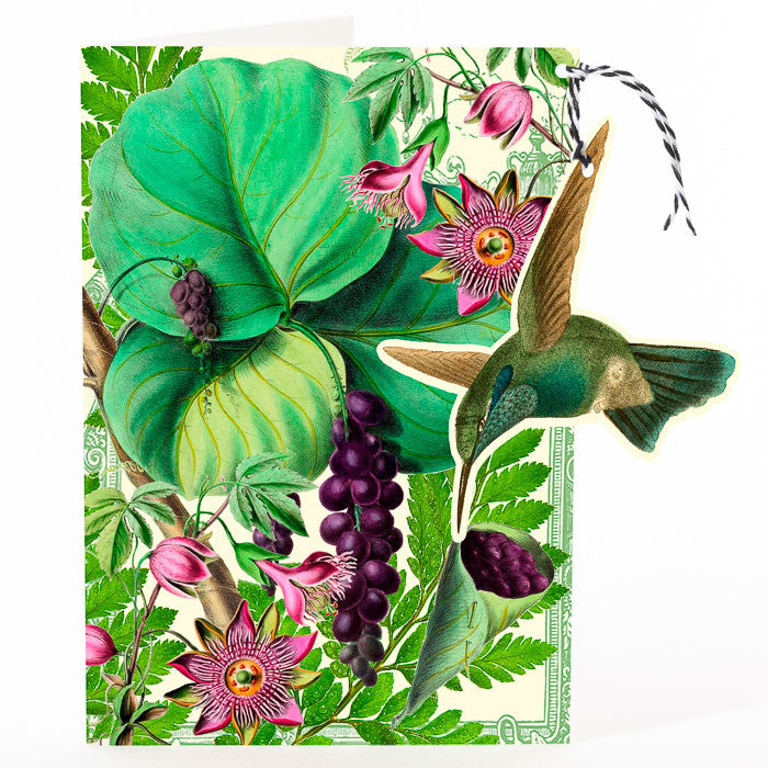 Green Humming Bird Fandangle Greetings Card.