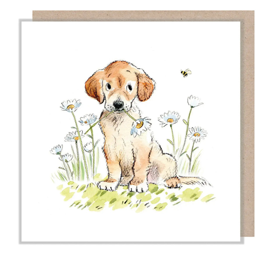 Golden Retriever with Daisy & Bee Greetings Card by Paper Shed Design Card 