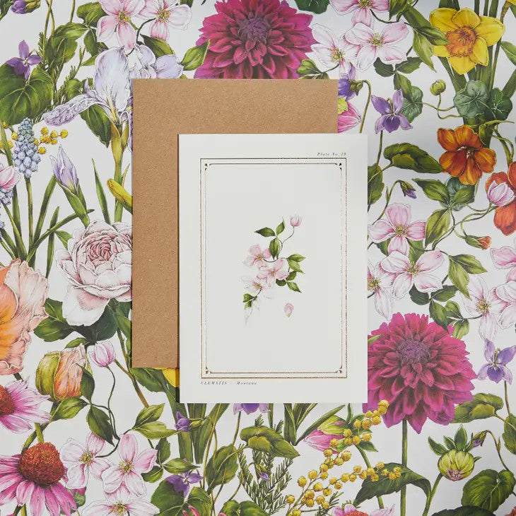 Clematis - 'Botanical Archive: Everyday Edition' - card