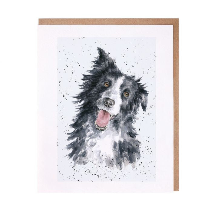 'Jess' Border Collie Greetings Card