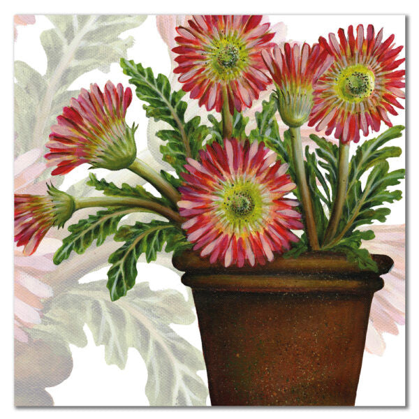 Gerbera Greetings Card by Emma Ball.